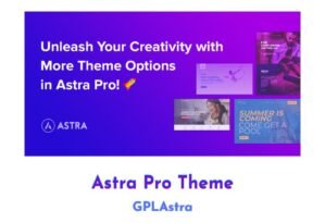 Astra Pro WordPress Theme Lifetime Unlimited Website